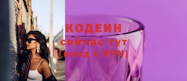 соль ск Волосово
