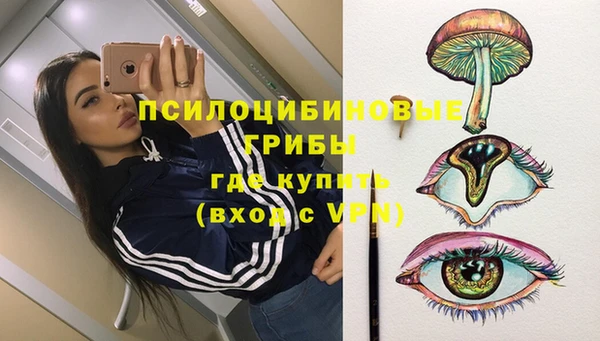 соль ск Волосово