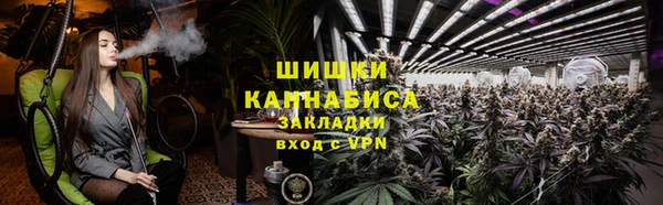 соль ск Волосово