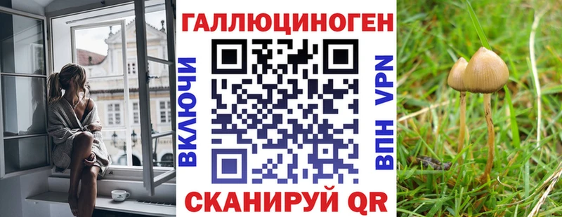 Галлюциногенные грибы MAGIC MUSHROOMS Верхняя Пышма