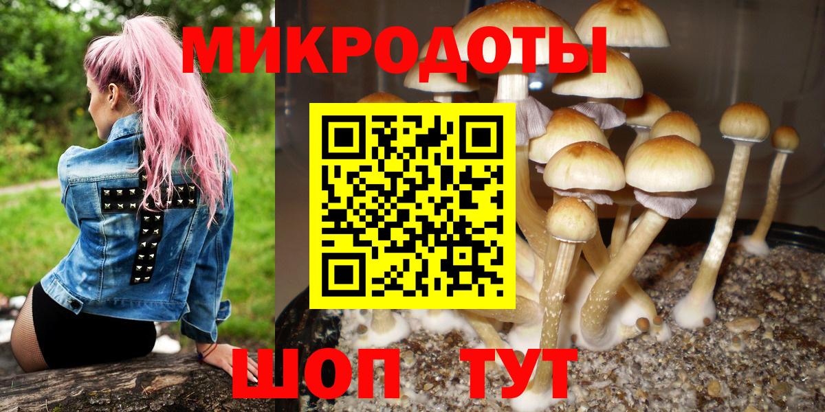 Галлюциногенные грибы ЛСД Верхняя Пышма