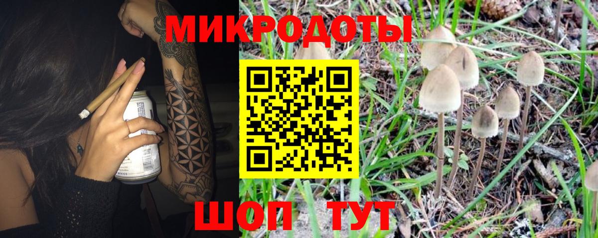 купить  сайты  Вход с VPN  Верхняя Пышма  Псилоцибиновые грибы прущие грибы  Галлюциногенные грибы MAGIC MUSHROOMS 